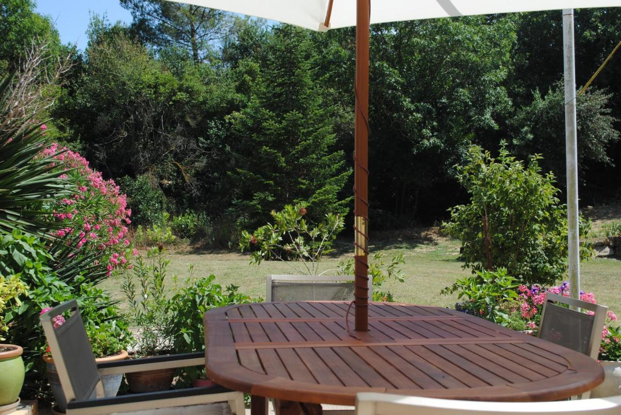 Chez Yvette , C'Est Chouette!! Bed & Breakfast Carcassonne Exterior photo